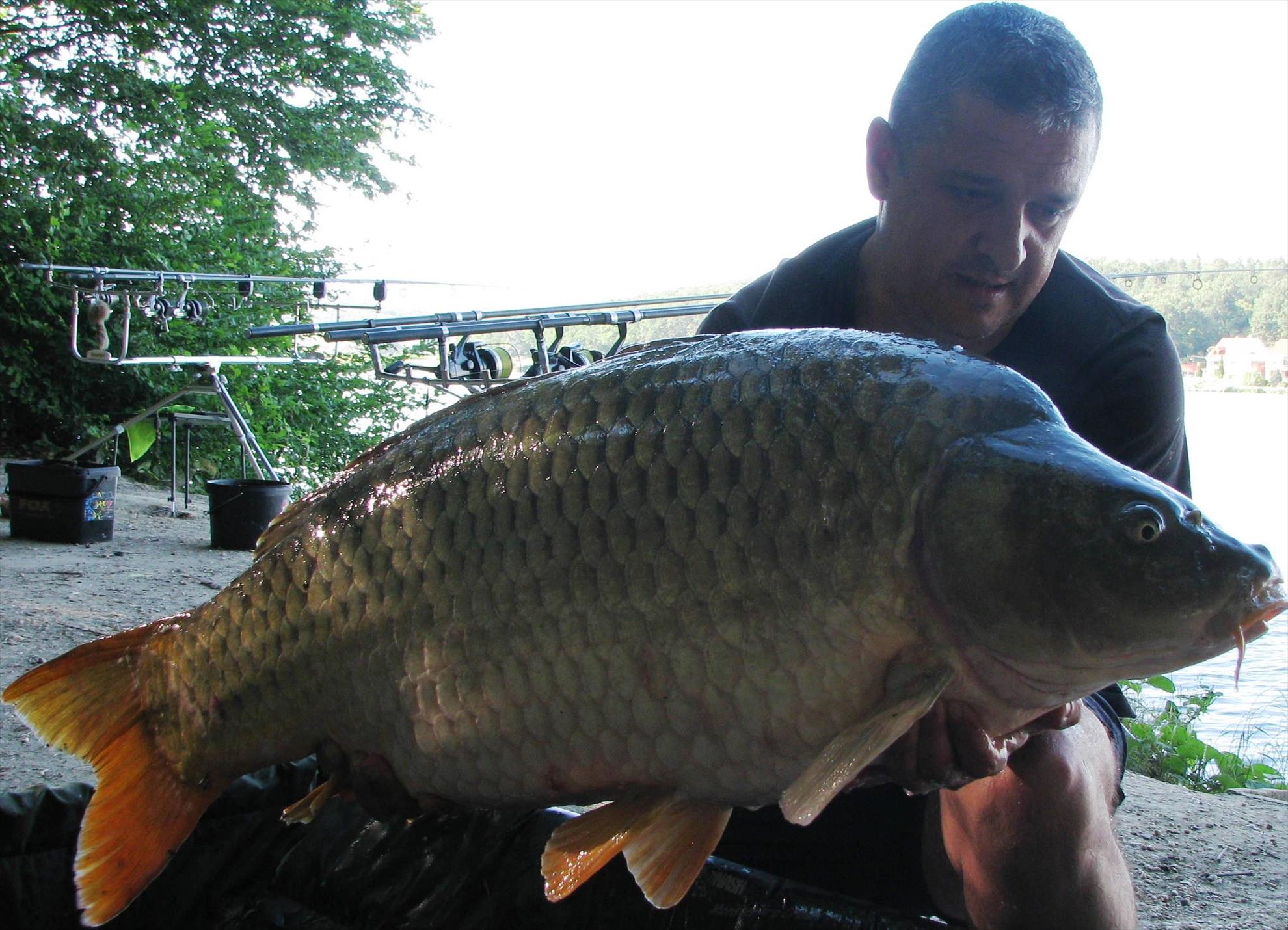 capturi over 20 kg in 2014 - 12 buc. - img1380.JPG